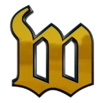 Custom 3D Logo